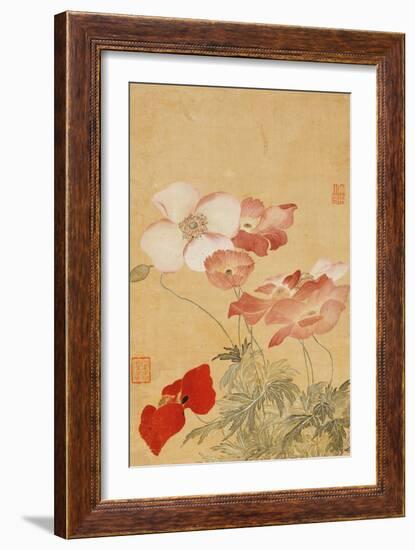 Poppies (Leaf from an Album of Flower Paintings)-Yun Shouping-Framed Giclee Print