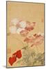 Poppies (Leaf from an Album of Flower Paintings)-Yun Shouping-Mounted Giclee Print