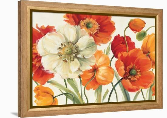 Poppies Melody I-Lisa Audit-Framed Stretched Canvas