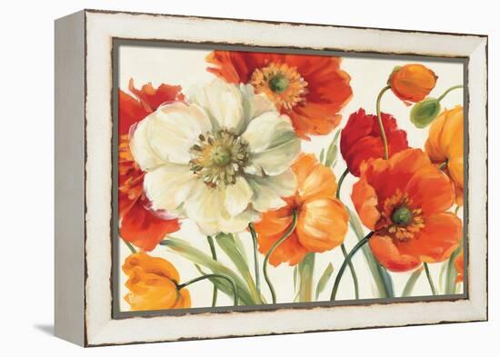 Poppies Melody I-Lisa Audit-Framed Stretched Canvas