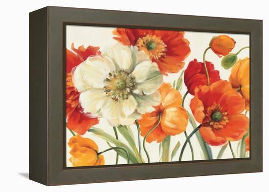 Poppies Melody I-Lisa Audit-Framed Stretched Canvas