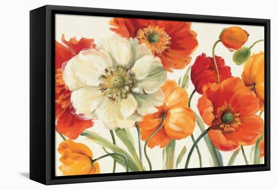 Poppies Melody I-Lisa Audit-Framed Stretched Canvas