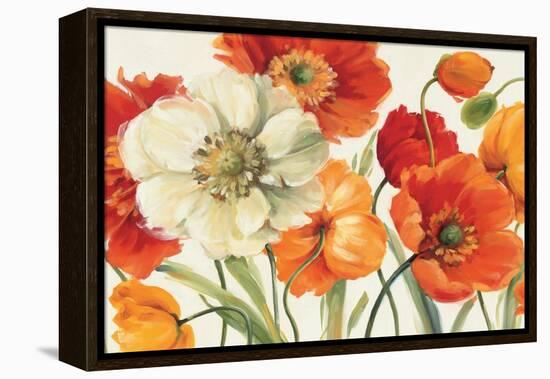 Poppies Melody I-Lisa Audit-Framed Stretched Canvas