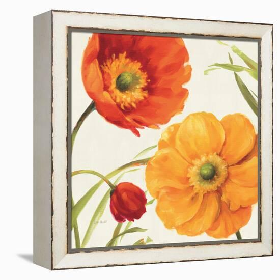 Poppies Melody II-Lisa Audit-Framed Stretched Canvas