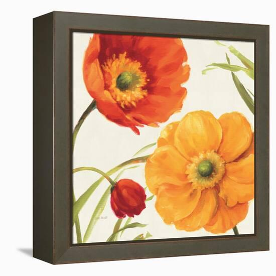 Poppies Melody II-Lisa Audit-Framed Stretched Canvas