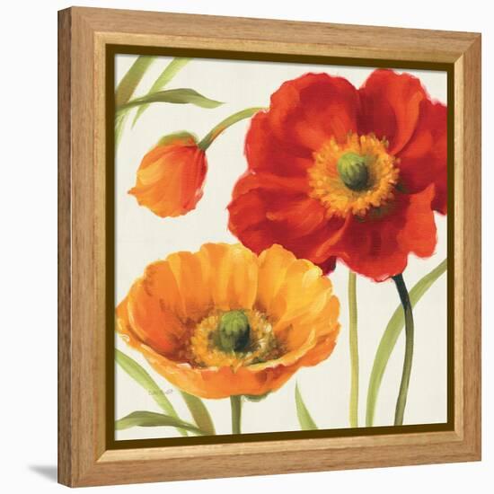 Poppies Melody III-Lisa Audit-Framed Stretched Canvas