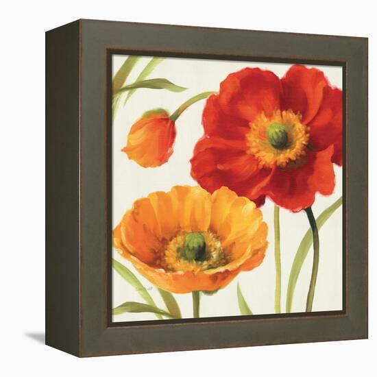 Poppies Melody III-Lisa Audit-Framed Stretched Canvas