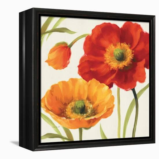 Poppies Melody III-Lisa Audit-Framed Stretched Canvas