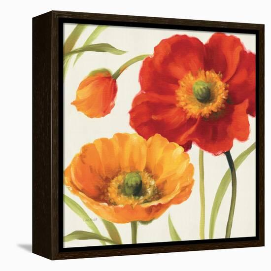 Poppies Melody III-Lisa Audit-Framed Stretched Canvas