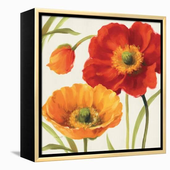 Poppies Melody III-Lisa Audit-Framed Stretched Canvas