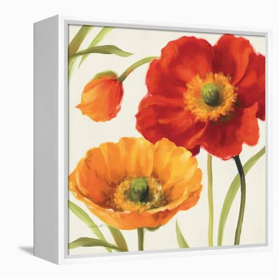 Poppies Melody III-Lisa Audit-Framed Stretched Canvas