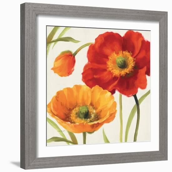 Poppies Melody III-Lisa Audit-Framed Art Print