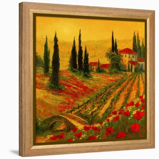 Poppies of Toscano I-Art Fronckowiak-Framed Stretched Canvas