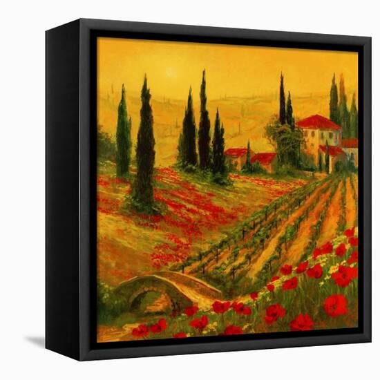 Poppies of Toscano I-Art Fronckowiak-Framed Stretched Canvas