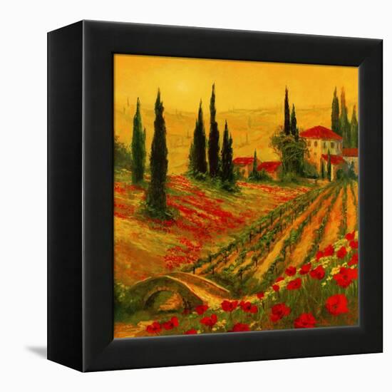 Poppies of Toscano I-Art Fronckowiak-Framed Stretched Canvas