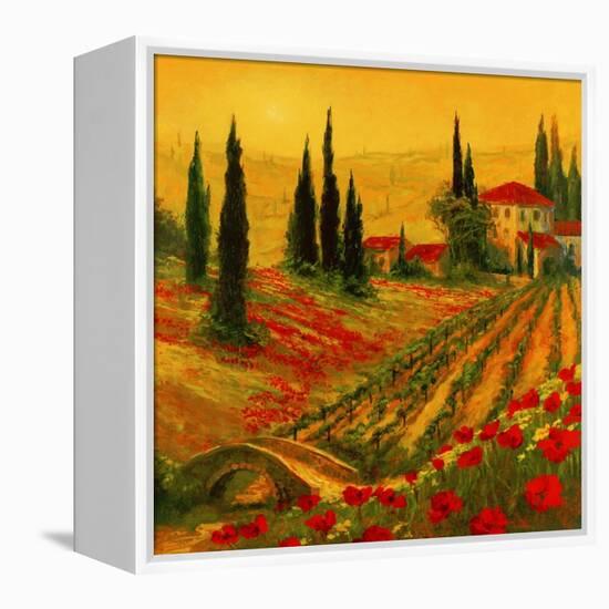 Poppies of Toscano I-Art Fronckowiak-Framed Stretched Canvas