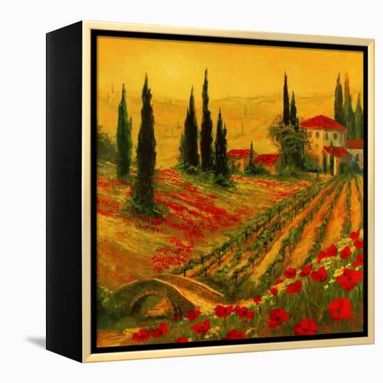 Poppies of Toscano I-Art Fronckowiak-Framed Stretched Canvas