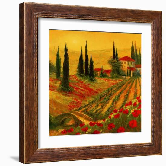 Poppies of Toscano I-Art Fronckowiak-Framed Art Print