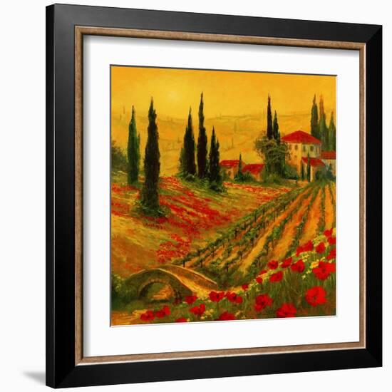 Poppies of Toscano I-Art Fronckowiak-Framed Art Print