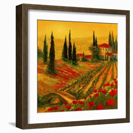 Poppies of Toscano I-Art Fronckowiak-Framed Art Print