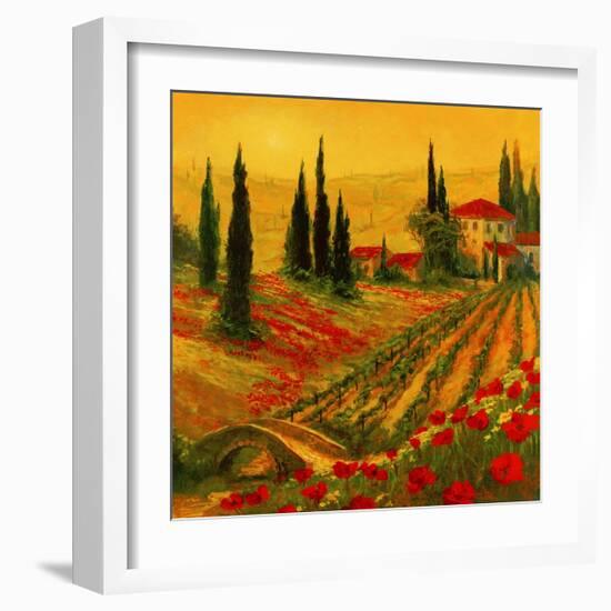 Poppies of Toscano I-Art Fronckowiak-Framed Art Print