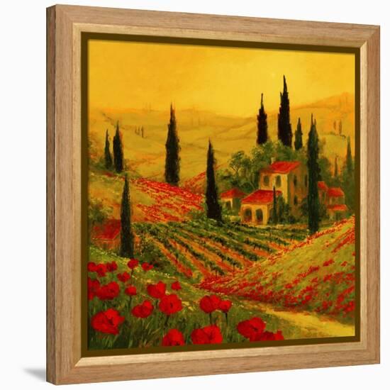 Poppies of Toscano II-Art Fronckowiak-Framed Stretched Canvas