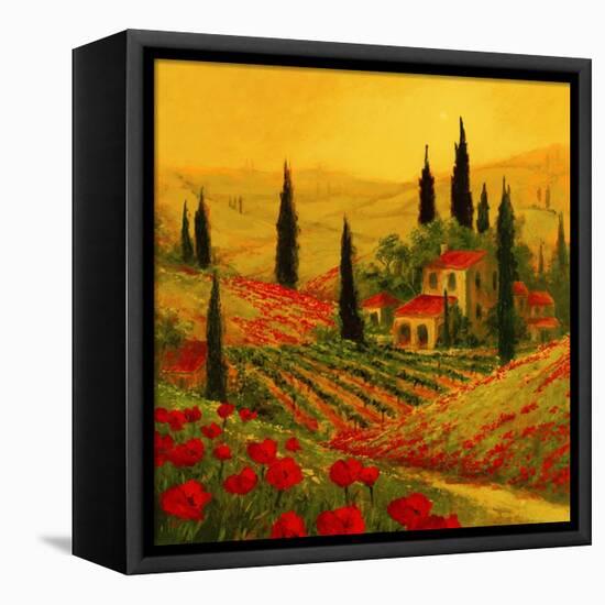 Poppies of Toscano II-Art Fronckowiak-Framed Stretched Canvas