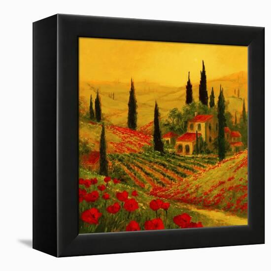 Poppies of Toscano II-Art Fronckowiak-Framed Stretched Canvas