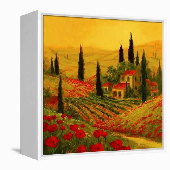 Poppies of Toscano II-Art Fronckowiak-Framed Stretched Canvas