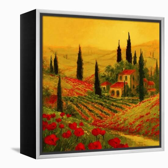 Poppies of Toscano II-Art Fronckowiak-Framed Stretched Canvas