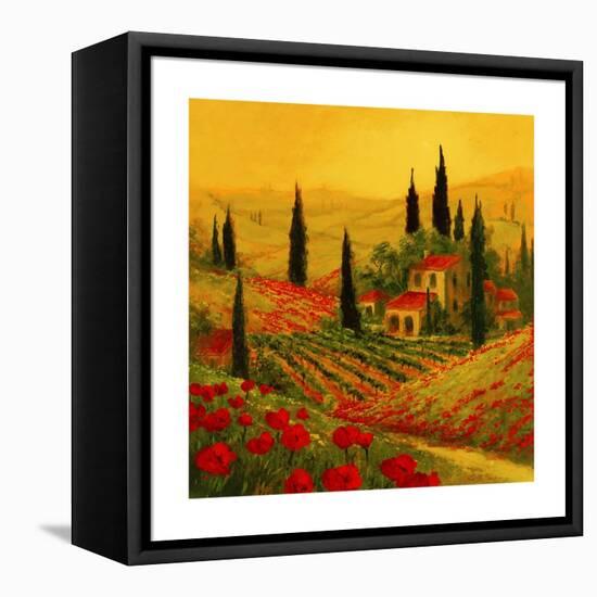 Poppies of Toscano II-Art Fronckowiak-Framed Stretched Canvas