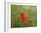 Poppies on Flanders Fields-Magda Indigo-Framed Photographic Print