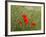 Poppies on Flanders Fields-Magda Indigo-Framed Photographic Print