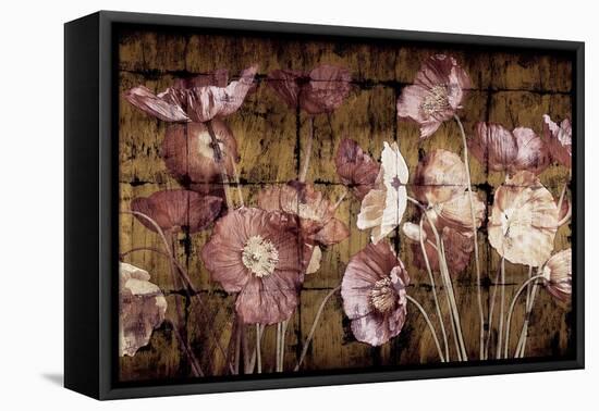 Poppies on Gold-John Seba-Framed Stretched Canvas