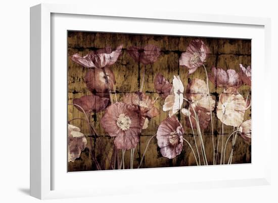 Poppies on Gold-John Seba-Framed Premium Giclee Print