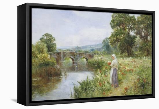 Poppies on the Riverbank-Ernest Walbourn-Framed Premier Image Canvas