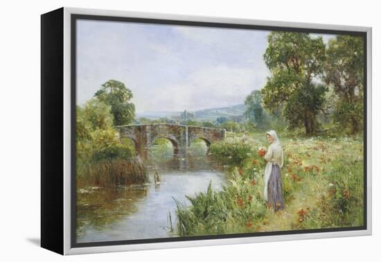 Poppies on the Riverbank-Ernest Walbourn-Framed Premier Image Canvas