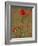 Poppies, Papaver Rhoeas, United Kingdom-Steve & Ann Toon-Framed Photographic Print