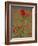 Poppies, Papaver Rhoeas, United Kingdom-Steve & Ann Toon-Framed Photographic Print