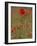Poppies, Papaver Rhoeas, United Kingdom-Steve & Ann Toon-Framed Photographic Print
