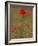 Poppies, Papaver Rhoeas, United Kingdom-Steve & Ann Toon-Framed Photographic Print