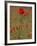 Poppies, Papaver Rhoeas, United Kingdom-Steve & Ann Toon-Framed Photographic Print