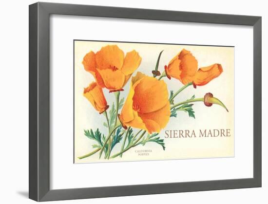 Poppies, Sierra Madre, California-null-Framed Art Print