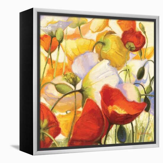 Poppies Up Close-Shirley Novak-Framed Stretched Canvas