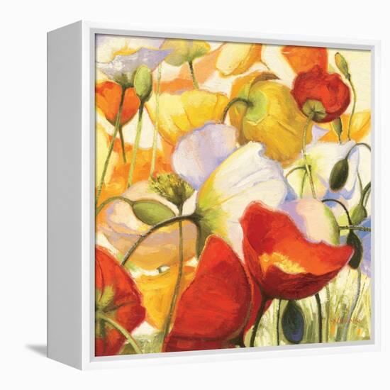 Poppies Up Close-Shirley Novak-Framed Stretched Canvas
