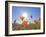 Poppies with Sun and Blue Sky, Antelope Valley Near Lancaster, California, Usa-Jamie & Judy Wild-Framed Photographic Print