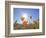 Poppies with Sun and Blue Sky, Antelope Valley Near Lancaster, California, Usa-Jamie & Judy Wild-Framed Photographic Print