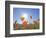 Poppies with Sun and Blue Sky, Antelope Valley Near Lancaster, California, Usa-Jamie & Judy Wild-Framed Photographic Print