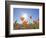 Poppies with Sun and Blue Sky, Antelope Valley Near Lancaster, California, Usa-Jamie & Judy Wild-Framed Photographic Print