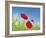 Poppies-Frank Krahmer-Framed Art Print